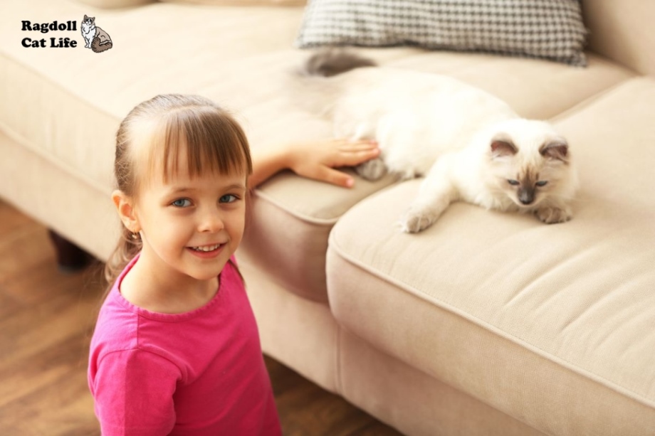are ragdoll cats good with kids