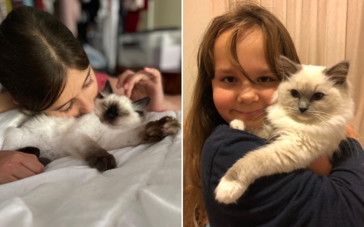 are ragdoll cats good with children